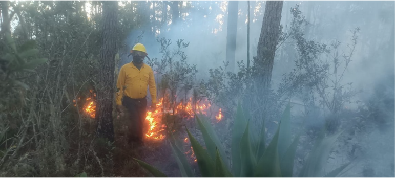 Actualización sobre los incendios forestales en República Dominicana