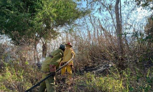 Incendio forestal en Valle Nuevo está controlado, dice Medio Ambiente