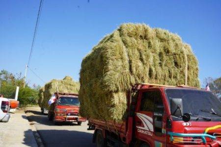 Lo que está haciendo el Gobierno para apoyar ganaderos afectados por sequía