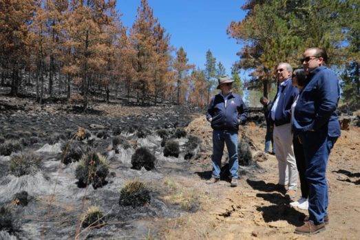 Abinader advierte a los que originan incendios forestales serán sometidos a la justicia