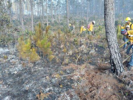 ¿Cuál es el estatus actual de los incendios forestales en RD?
