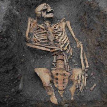 Descubren varios esqueletos completos en un cementerio de gonfoterios en Florida
