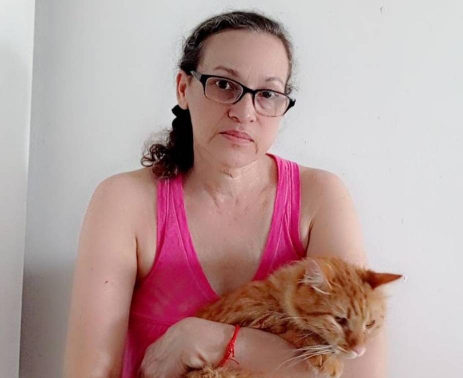 Mujer Con 10 Gatos Pide Extiender Plazo Para Mudarse 9513