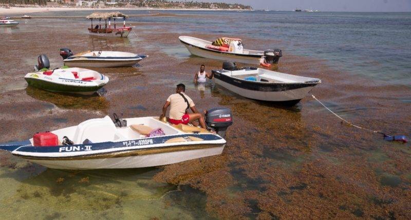 Playa dominicana afectada por una enorme cantidad de sargazo. Archivo