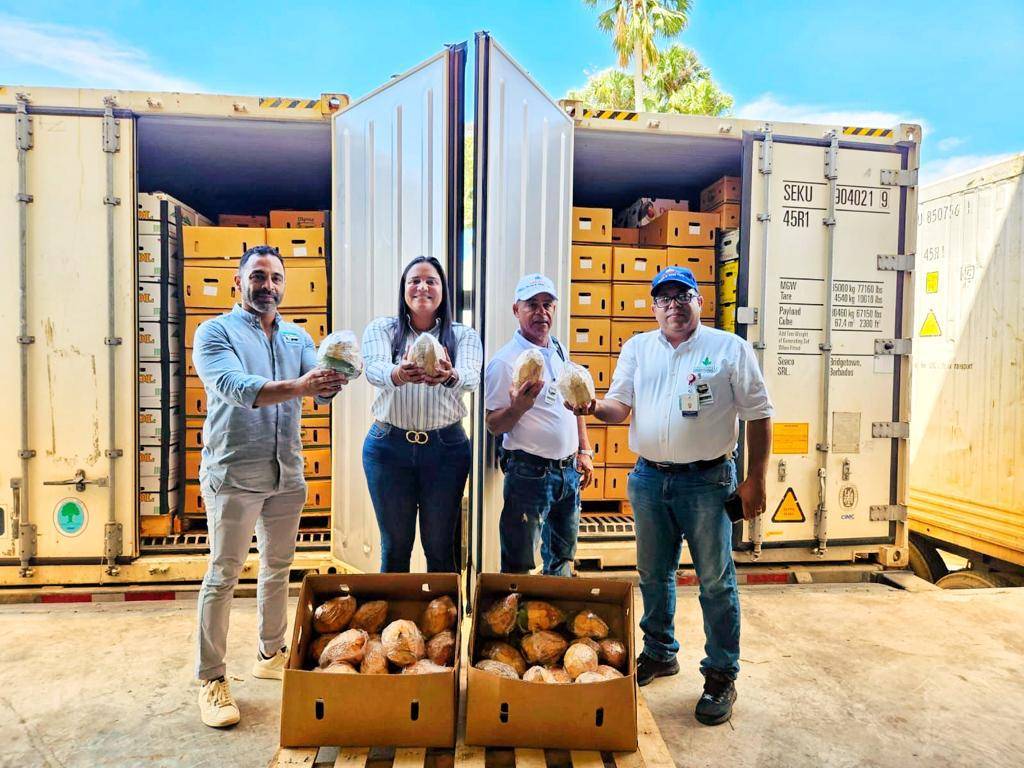 EE.UU. recibe primeros contenedores de coco de agua desde RD