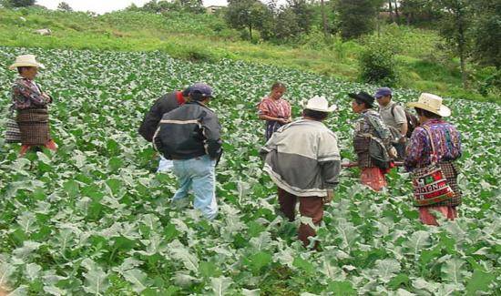 Proyecto Agro Emprende impacta comunidades