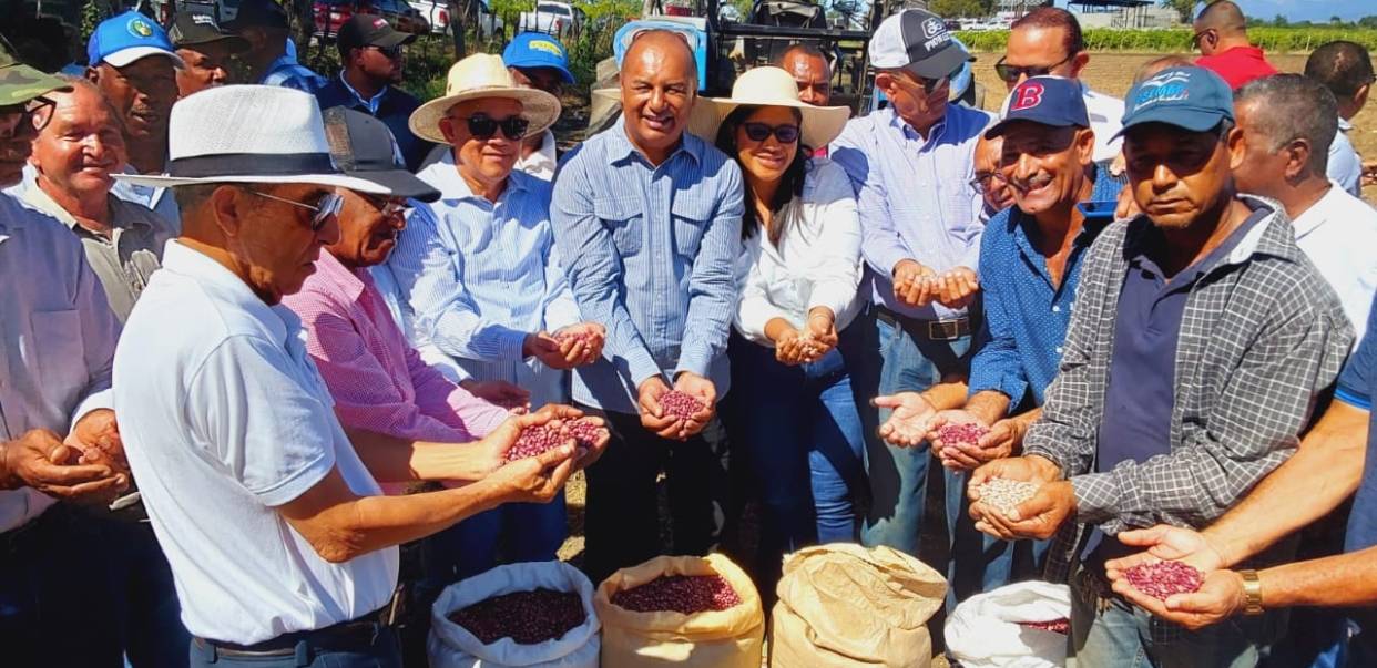 Inician siembra habichuelas en San Juan de la Maguana