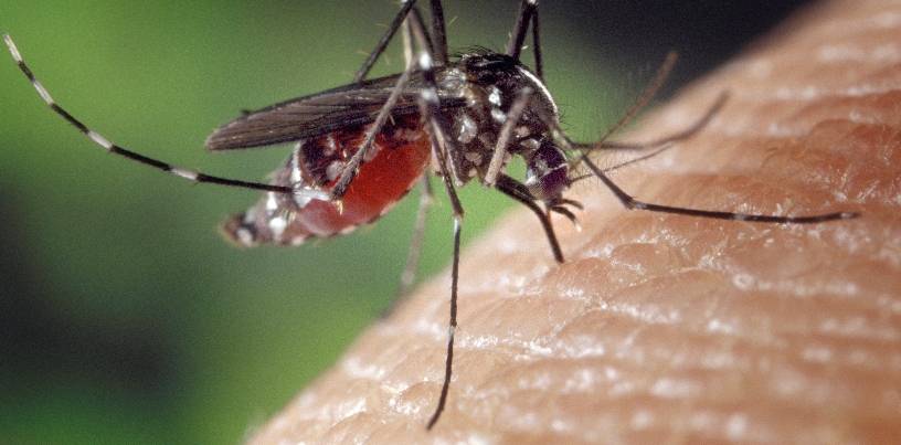 Informe interno SP: 153 muertes dengue, pero solo reporta 21