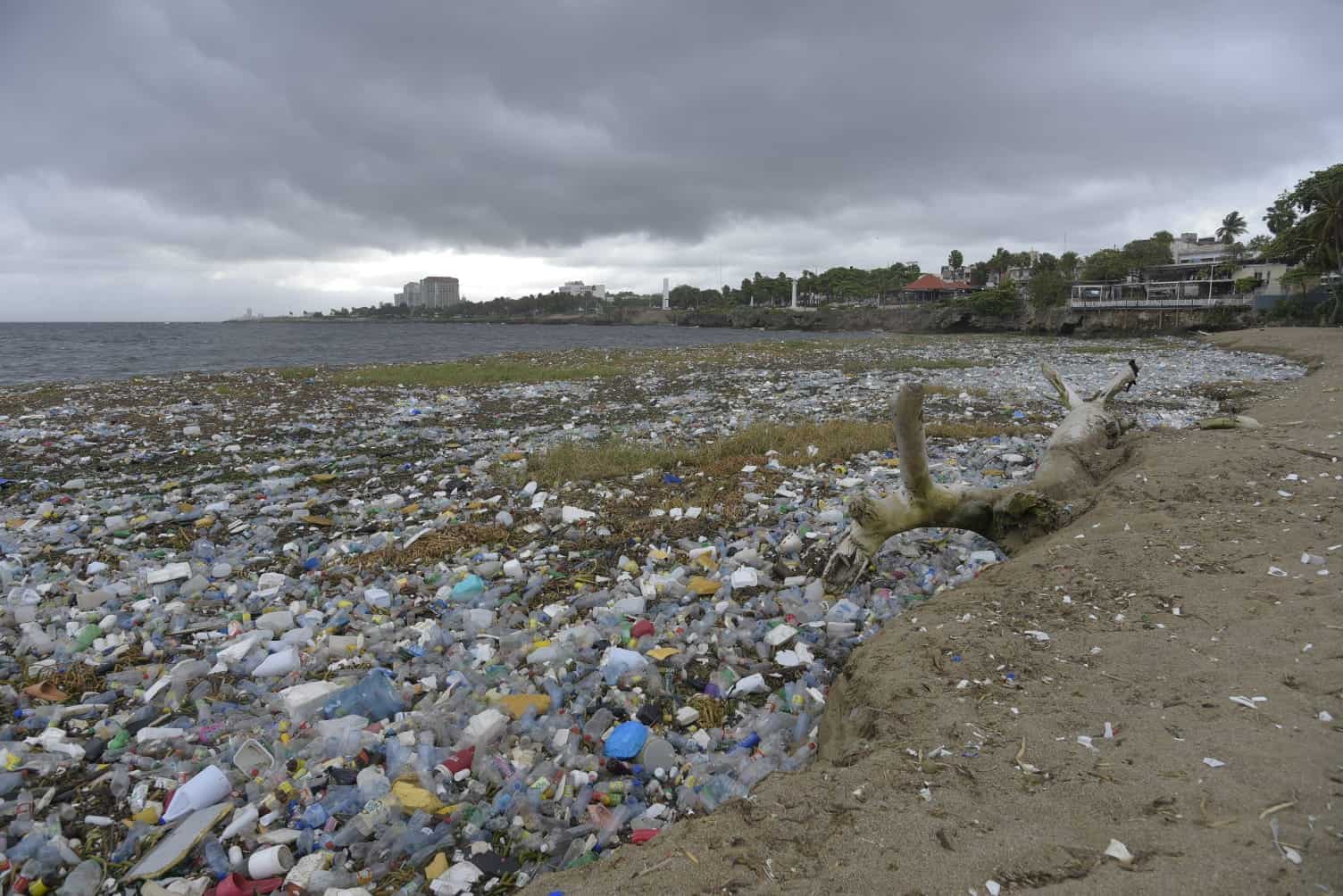 Luis Carvajal insta a prohibir plásticos de un solo uso en el país