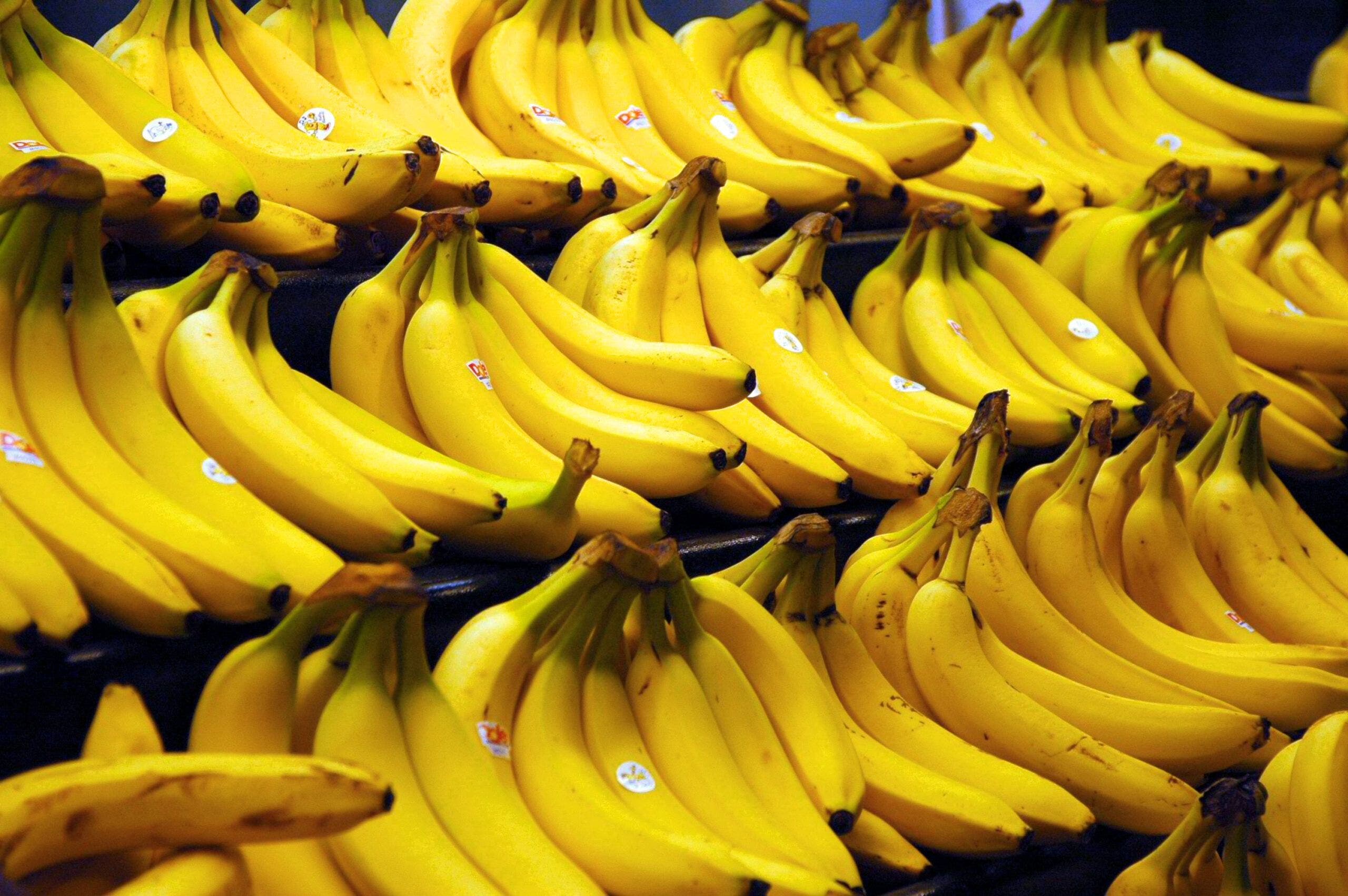 Comer banana es simple, producirla es muy complejo
