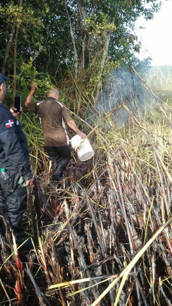 Guardaparques y bomberos forestales combaten incendio en lagunas Cabarete y Goleta