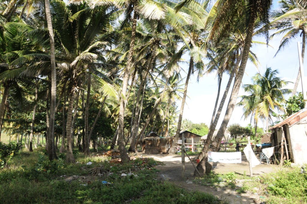 Los Cocos, el lugar exacto por donde entró el ojo del huracán Inés, 58 años después. Foto Carlos Julio Féliz