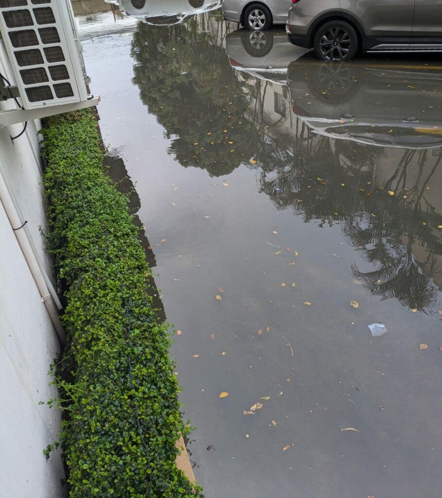 "Desde que cae una gota de agua no se puede salir a pie"